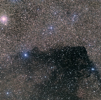 Barnard 312 (Dunkelnebel) Ausschnitt