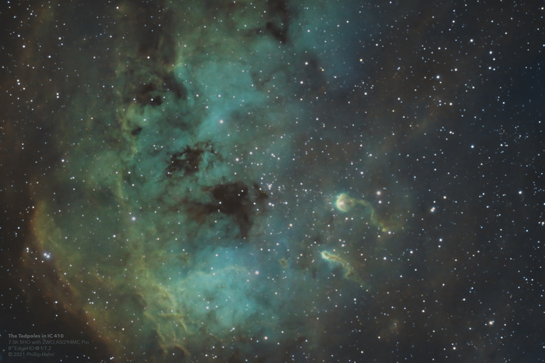 IC-410-Tadpole-Nebula.jpg