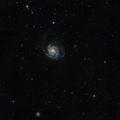 20230810 M101   Supernova 