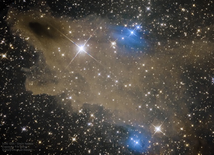 LDN1235 - Shark Nebula