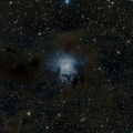NGC7023 - Iris Nebel