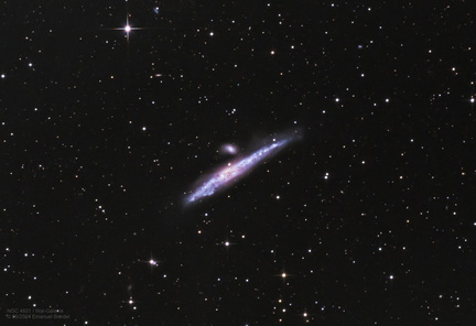 NGC4631 Walgalaxie