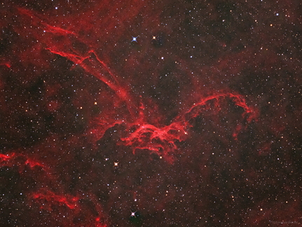 Der fliegende Drachen 3.1