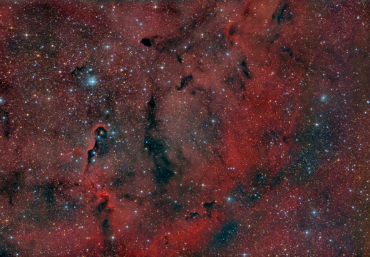 Elefantenrüssel-Nebel IC 1396