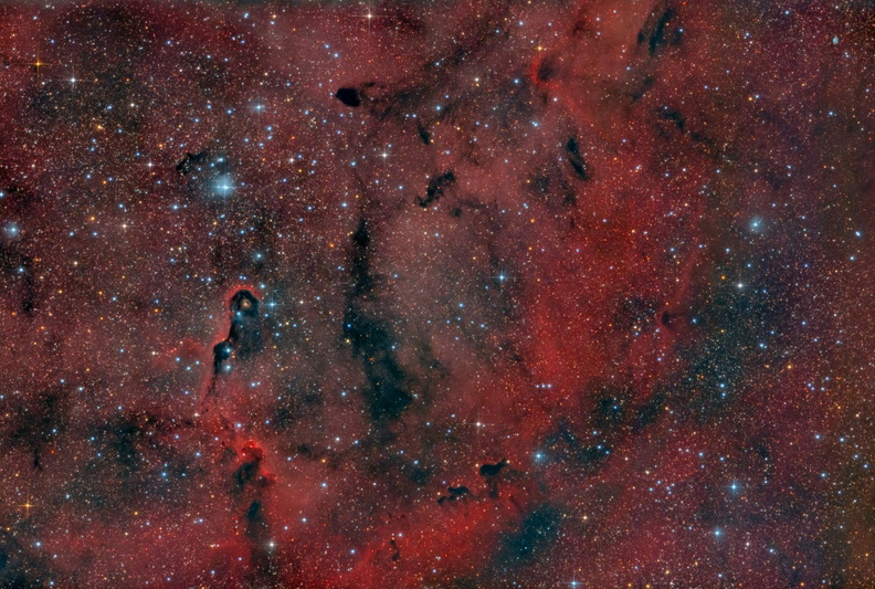 IC1396-REG1b1-jpeg-1-1536x1034.jpg