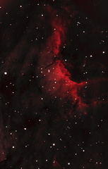 Pelikannebel IC 5070