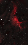 Pelikannebel IC 5070