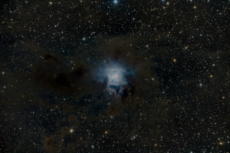 NGC7023 - Iris Nebel